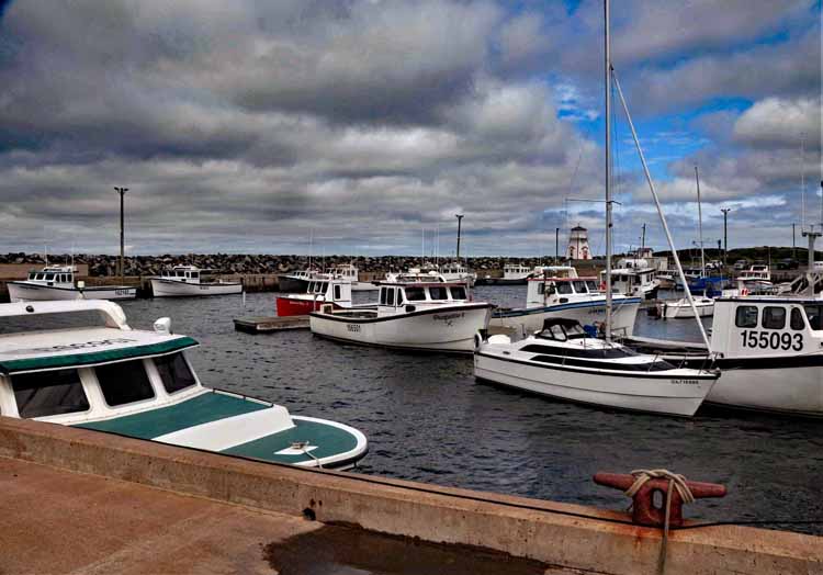 harbor